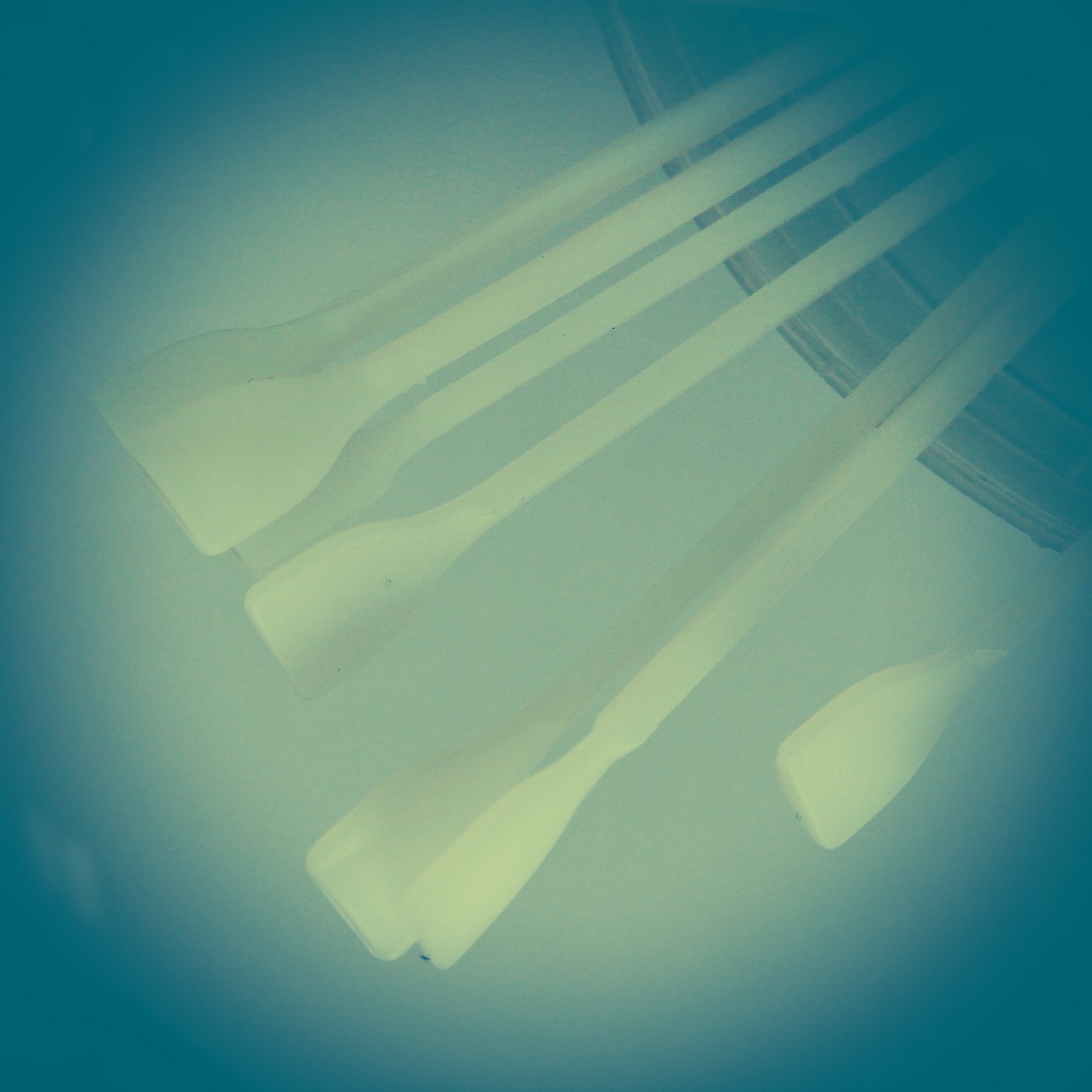 Trova la bellezza nel laboratorio