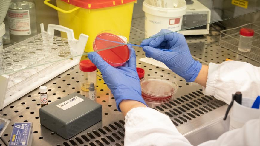 Laboratori di ricerca