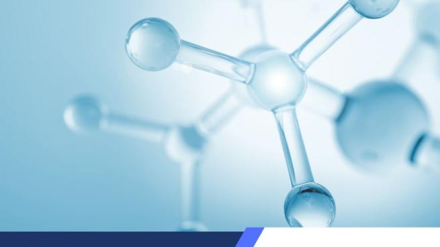 Convegno IRCCS Patologie Ambientali