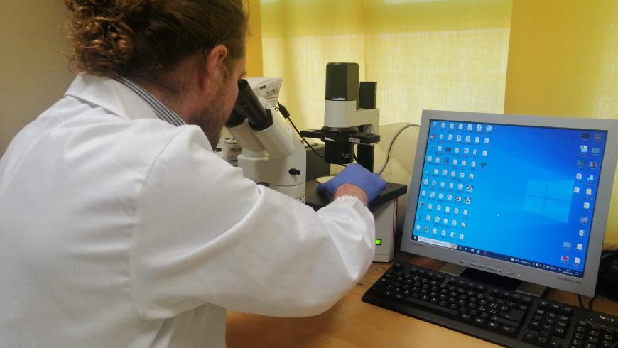 ricercatore del Laboratorio di ricerca preclinica al microscopio